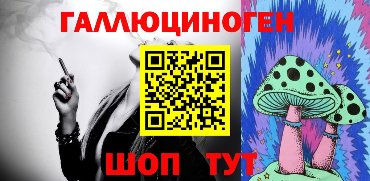 Ачинск  Псилоцибиновые грибы Psilocybe  Вход с VPN 